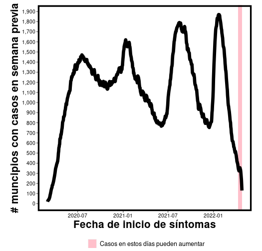 Número de municipios que reportaron casos de COVID-19 en los siete días previos en el eje vertical, por fecha de inicio de síntomas en el eje horizontal.